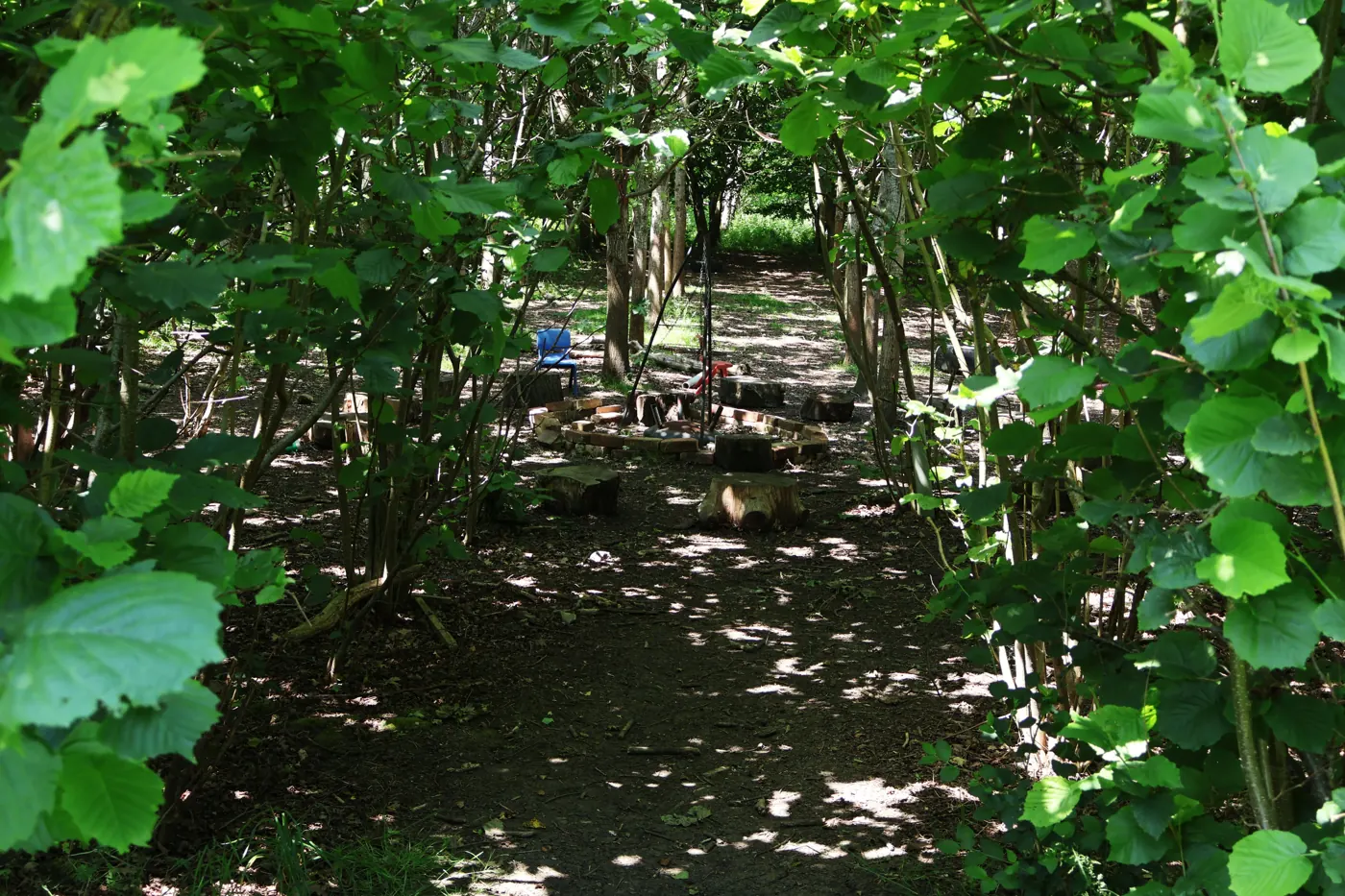 The woodland forest school space at Buttercup Barn